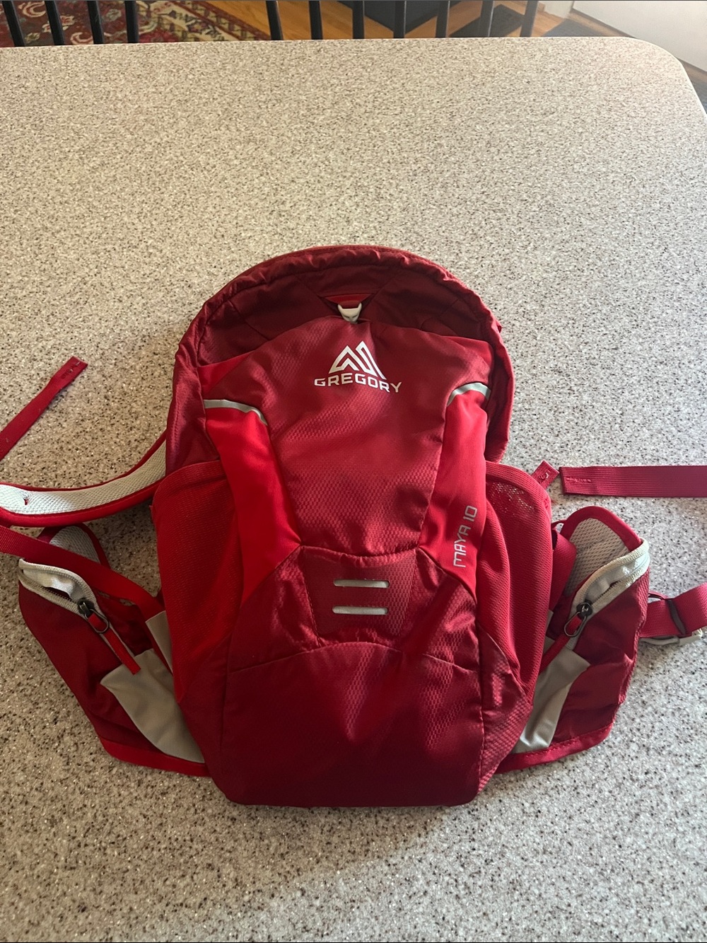 Gregory Red Hiking Daypack with Reflective Accents